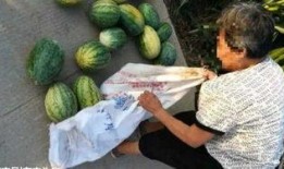 林州吃瓜最新爆料,揭秘最新爆料背后的真相