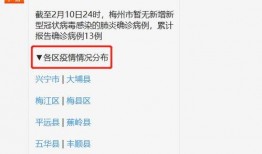 梅州最新爆料消息疫情情况,多区现新增病例，防控措施升级”